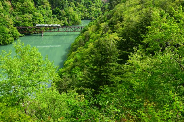 酔いどれ気まぐれ掲示板