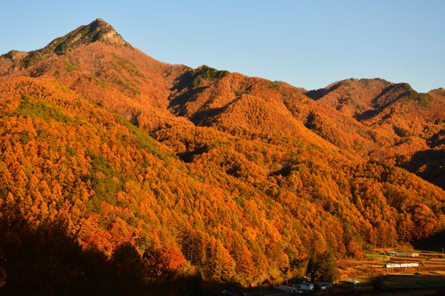 酔いどれ気まぐれ掲示板