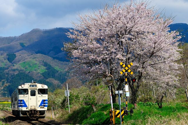 酔いどれ気まぐれ掲示板